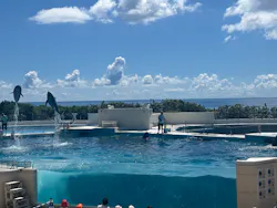 沖縄美ら海水族館に投稿された画像(2026/8/1)