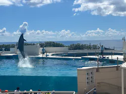 沖縄美ら海水族館に投稿された画像(2026/8/1)