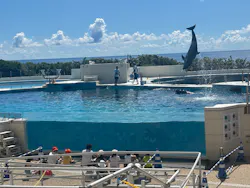 沖縄美ら海水族館に投稿された画像(2026/8/1)