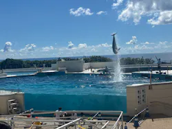 沖縄美ら海水族館に投稿された画像(2026/8/1)