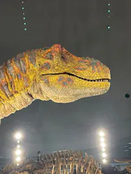 福井県立恐竜博物館に投稿された画像(2026/8/1)