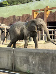 東武動物公園に投稿された画像(2026/8/1)