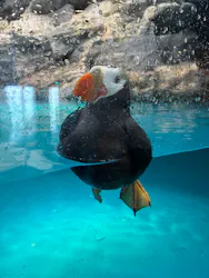 アクアワールド茨城県大洗水族館に投稿された画像(2026/8/1)