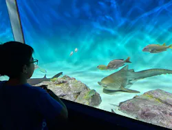 アクアワールド茨城県大洗水族館に投稿された画像(2026/8/1)