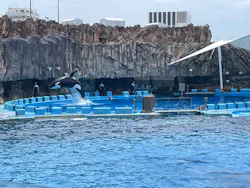 名古屋港水族館に投稿された画像(2026/8/1)