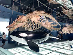 名古屋港水族館に投稿された画像(2026/8/1)