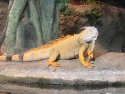 サンシャイン水族館に投稿された画像(2026/8/1)