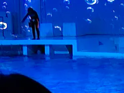 アクアワールド茨城県大洗水族館に投稿された画像(2026/8/1)
