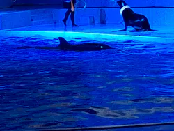 アクアワールド茨城県大洗水族館に投稿された画像(2026/8/1)