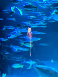 サンシャイン水族館に投稿された画像(2026/8/1)