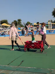 アルネットホームスマイルパークしらこばとに投稿された画像(2026/8/1)