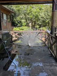 伊豆シャボテン動物公園に投稿された画像(2026/8/2)