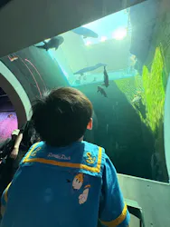 AQUARIUM × ART atoa×神戸どうぶつ王国に投稿された画像(2026/8/2)