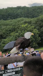 那須どうぶつ王国に投稿された画像(2026/8/2)