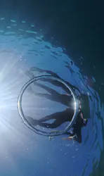 武藤潜水に投稿された画像(2026/8/2)