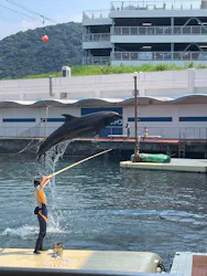 伊豆・三津シーパラダイスに投稿された画像(2026/8/2)