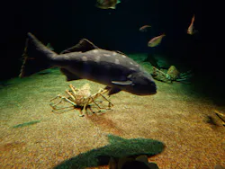 アクアワールド茨城県大洗水族館に投稿された画像(2026/8/2)