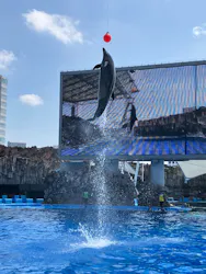 名古屋港水族館に投稿された画像(2026/8/2)