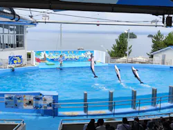 のとじま水族館に投稿された画像(2026/8/2)