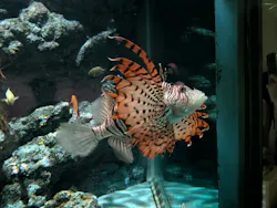 名古屋港水族館に投稿された画像(2026/8/2)