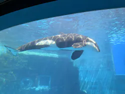 名古屋港水族館に投稿された画像(2026/8/2)