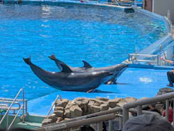 名古屋港水族館に投稿された画像(2026/8/2)