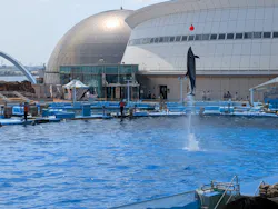 名古屋港水族館に投稿された画像(2026/8/2)