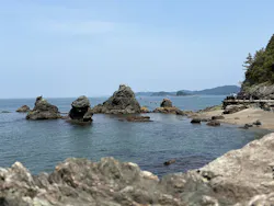 ゼロ距離水族館 伊勢シーパラダイスに投稿された画像(2026/8/2)