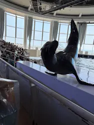 アクアワールド茨城県大洗水族館に投稿された画像(2026/8/2)