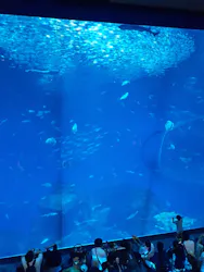 アクアワールド茨城県大洗水族館に投稿された画像(2026/8/2)