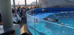 大分マリーンパレス水族館 「うみたまご」に投稿された画像(2026/8/2)
