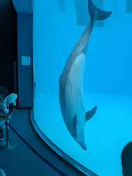 名古屋港水族館に投稿された画像(2026/8/2)