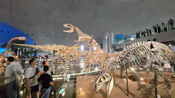 福井県立恐竜博物館に投稿された画像(2026/8/2)