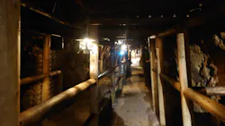 土肥金山に投稿された画像(2026/8/2)