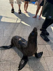 大分マリーンパレス水族館 「うみたまご」に投稿された画像(2026/8/2)