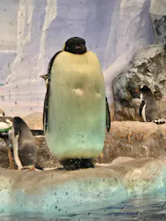 名古屋港水族館に投稿された画像(2026/8/2)