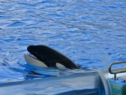 名古屋港水族館に投稿された画像(2026/8/2)