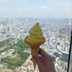 ハルカス300(展望台)に投稿された画像(2026/8/3)