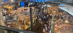 福井県立恐竜博物館に投稿された画像(2026/8/3)