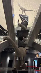 福井県立恐竜博物館に投稿された画像(2026/8/3)