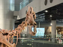 福井県立恐竜博物館に投稿された画像(2026/8/3)