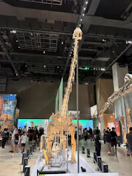 福井県立恐竜博物館に投稿された画像(2026/8/3)