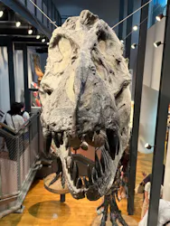 福井県立恐竜博物館に投稿された画像(2026/8/3)