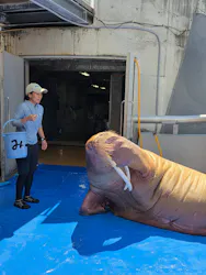 大分マリーンパレス水族館 「うみたまご」に投稿された画像(2026/8/3)