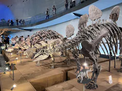 福井県立恐竜博物館に投稿された画像(2026/8/3)