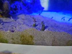 名古屋港水族館に投稿された画像(2026/8/3)