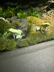 サンシャイン水族館に投稿された画像(2026/8/3)