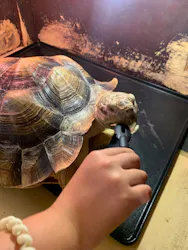 Moff animal cafe イオンモール幕張新都心店に投稿された画像(2026/8/3)