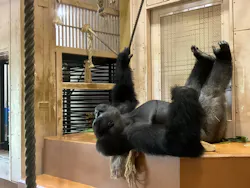 名古屋市東山動植物園に投稿された画像(2026/8/3)