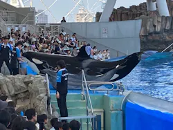 名古屋港水族館に投稿された画像(2026/8/3)